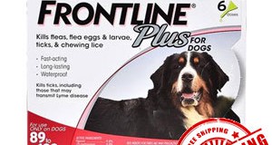 Buy Frontline Flea product after seeing its photo online