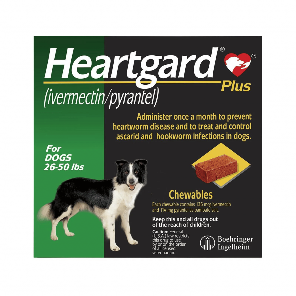 Heartgard Plus Chewables for Dogs- the best worm treatment in market
