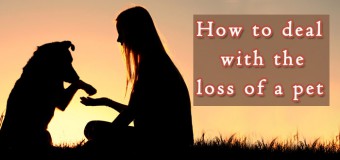 How to Deal with the Loss of a Pet?