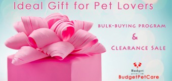 The Ideal Gift for Pet Lovers – Maximum Discounts!