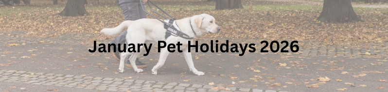 Pet Holidays in January 2026