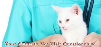 Vet Visit Questionnaire – You MUST Prepare before you Visit