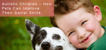 Autistic Children – How Pets Can Improve Their Social Skills