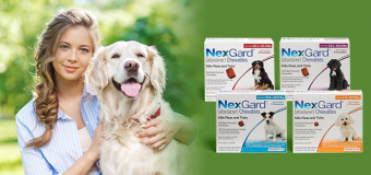 How Can you Easily Buy Nexgard Online at Cheap Prices?