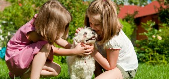 12 Reasons Why No One Can Ever Replace Your Pet (Episode#2)