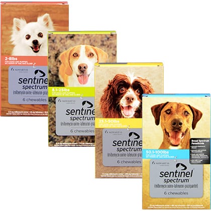 Sentinel spectrum chews for flea, tick and heartworm prevention for dogs