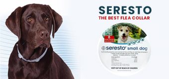 Seresto Review : The Best Flea Collar