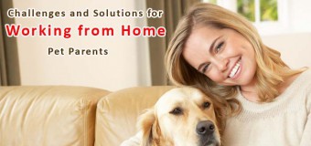 Challenges and Solutions for Working from Home Pet Parents