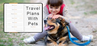 Travel Plans With Pets- Tips To Consider For A Trouble-Free Journey!