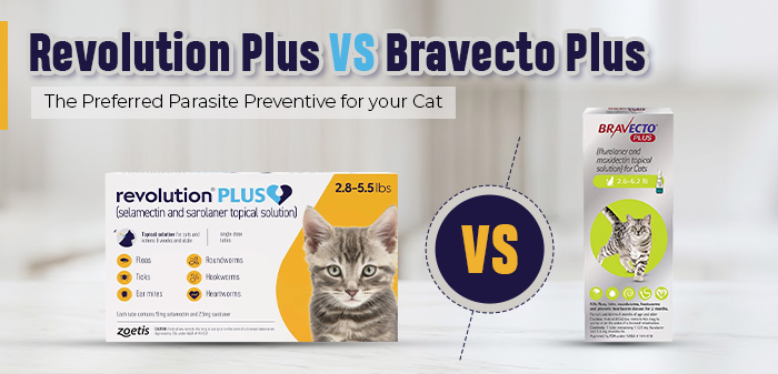 Revolution-Plus-vs-Bravecto-Plus-2026