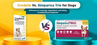 Credelio vs. Simparica Trio for Dogs – Coverage, Ingredients, and Dosing Explained