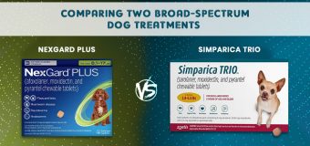 Nexgard Plus Vs. Simparica Trio – Comparing Two Broad-Spectrum Dog Treatments