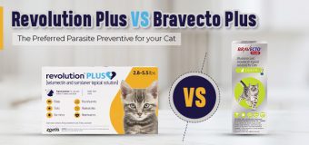 Revolution Plus vs. Bravecto Plus: The Preferred Parasite Preventive For Your Cat