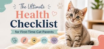 The Ultimate Health Checklist for First-Time Cat Parents