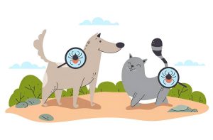 flea allergy in dogs and cats