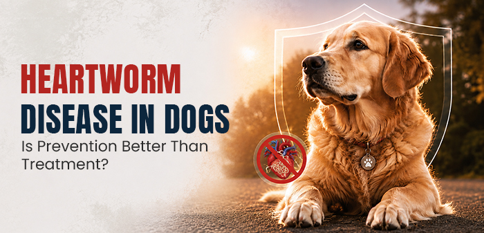 Heartworm-Disease-in-Dogs